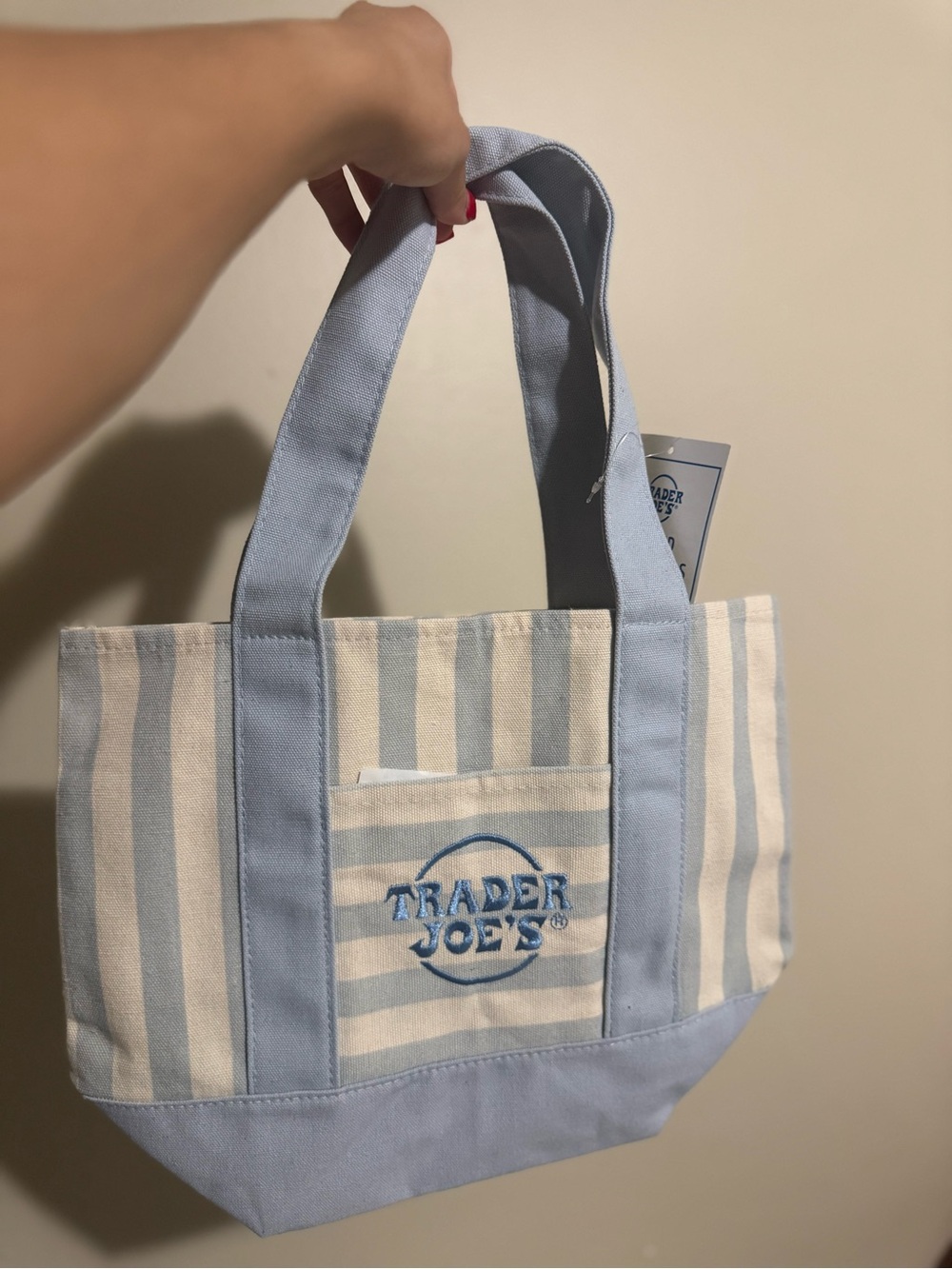 Blue & Cream Striped Canvas Tote Bag
